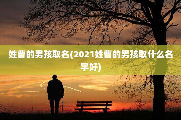 姓曹的男孩取名(2021姓曹的男孩取什么名字好)