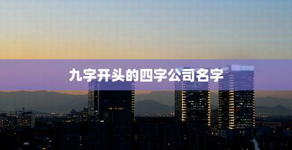 九字开头的四字公司名字