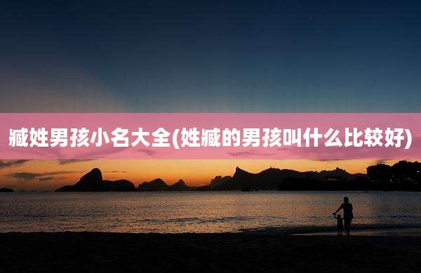臧姓男孩小名大全(姓臧的男孩叫什么比较好)