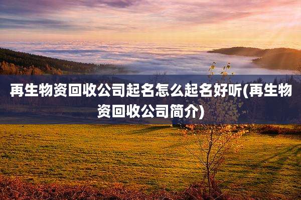 再生物资回收公司起名怎么起名好听(再生物资回收公司简介)