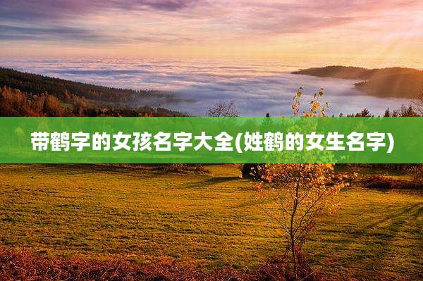带鹤字的女孩名字大全(姓鹤的女生名字)