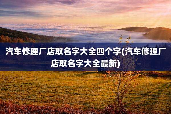 汽车修理厂店取名字大全四个字(汽车修理厂店取名字大全最新)