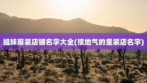 姐妹服装店铺名字大全(接地气的童装店名字)