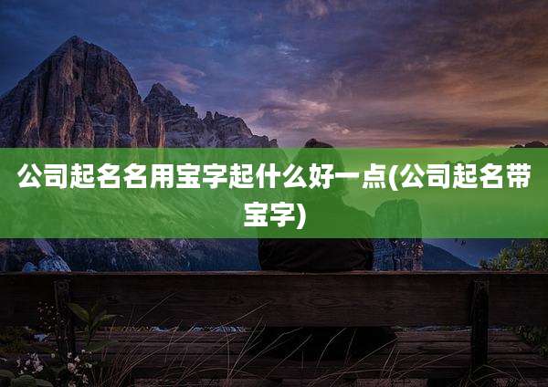 公司起名名用宝字起什么好一点(公司起名带宝字)