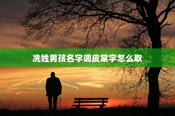 冼姓男孩名字调皮棠字怎么取