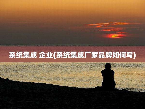 系统集成 企业(系统集成厂家品牌如何写)