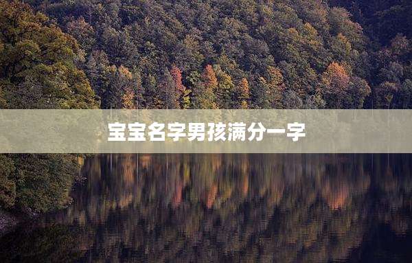 宝宝名字男孩满分一字