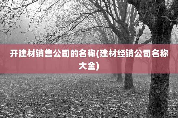开建材销售公司的名称(建材经销公司名称大全)