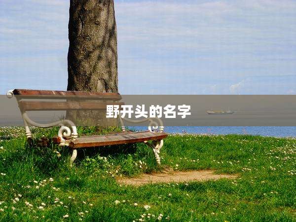野开头的名字