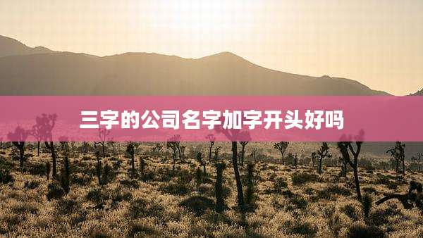 三字的公司名字加字开头好吗