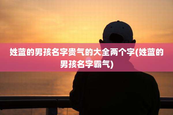 姓蓝的男孩名字贵气的大全两个字(姓蓝的男孩名字霸气)