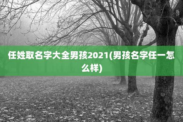 任姓取名字大全男孩2021(男孩名字任一怎么样)