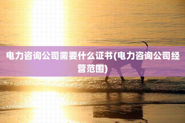 电力咨询公司需要什么证书(电力咨询公司经营范围)