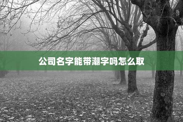 公司名字能带潮字吗怎么取