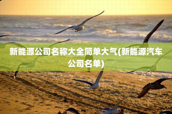 新能源公司名称大全简单大气(新能源汽车公司名单)