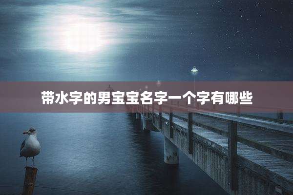 带水字的男宝宝名字一个字有哪些