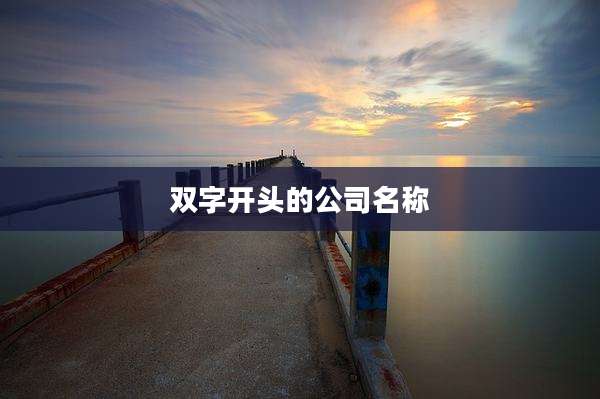 双字开头的公司名称