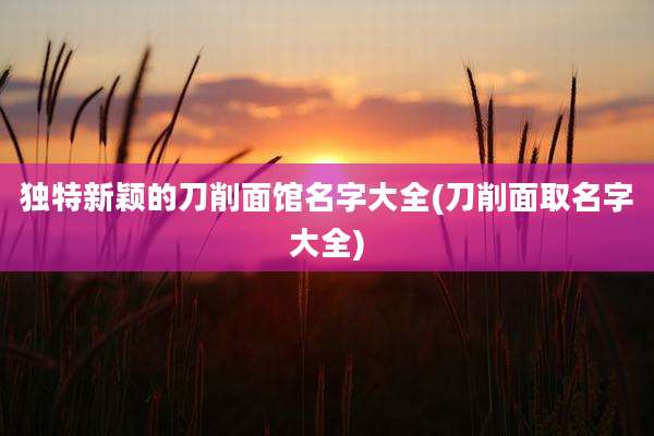 独特新颖的刀削面馆名字大全(刀削面取名字大全)