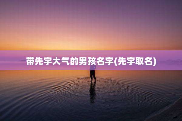 带先字大气的男孩名字(先字取名)