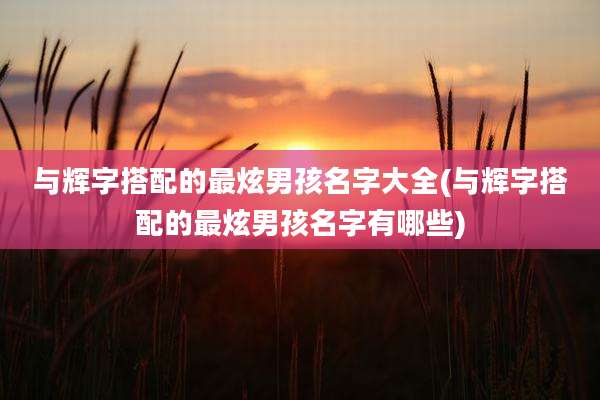 与辉字搭配的最炫男孩名字大全(与辉字搭配的最炫男孩名字有哪些)