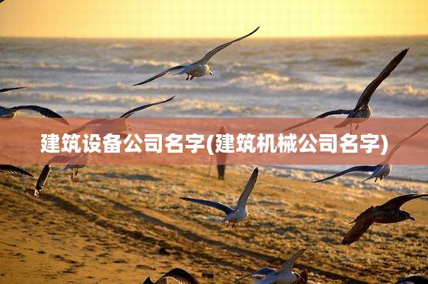 建筑设备公司名字(建筑机械公司名字)