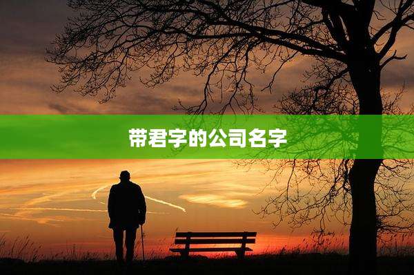 带君字的公司名字