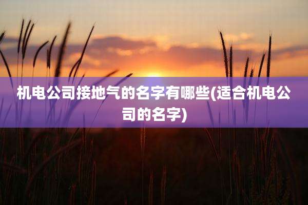 机电公司接地气的名字有哪些(适合机电公司的名字)