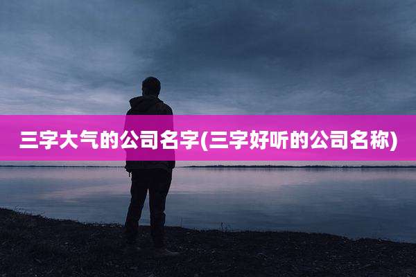 三字大气的公司名字(三字好听的公司名称)