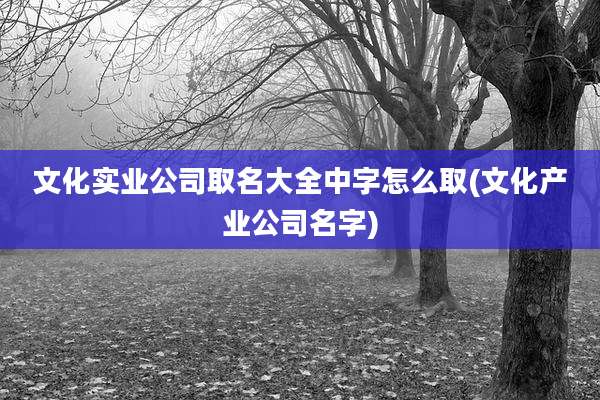文化实业公司取名大全中字怎么取(文化产业公司名字)