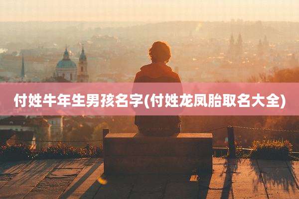 付姓牛年生男孩名字(付姓龙凤胎取名大全)