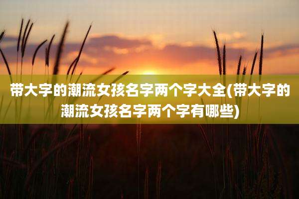 带大字的潮流女孩名字两个字大全(带大字的潮流女孩名字两个字有哪些)