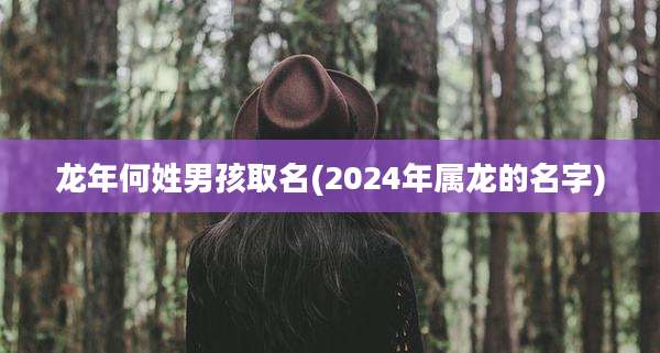 龙年何姓男孩取名(2024年属龙的名字)