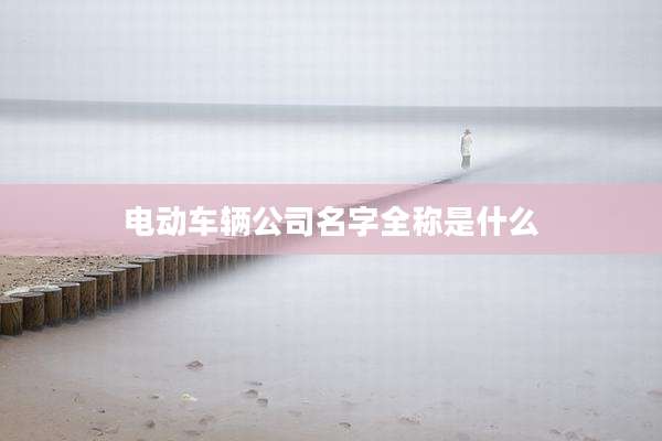 电动车辆公司名字全称是什么