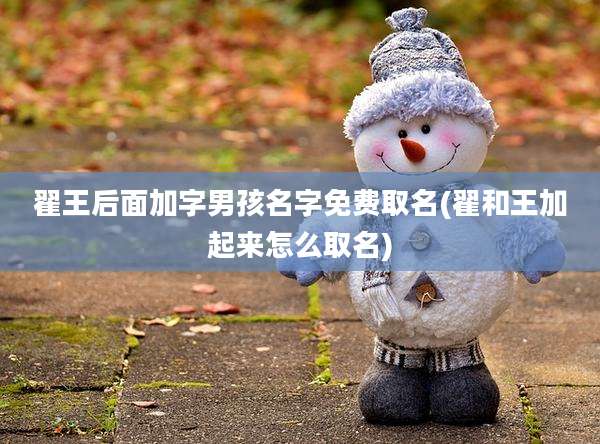 翟王后面加字男孩名字免费取名(翟和王加起来怎么取名)