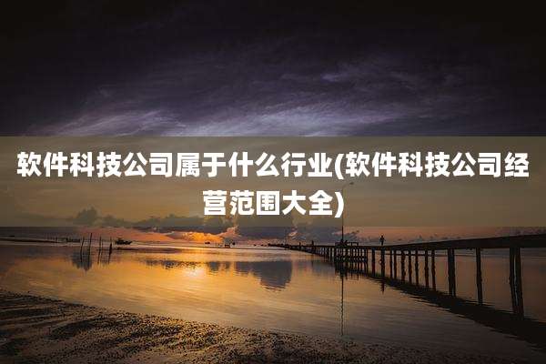 软件科技公司属于什么行业(软件科技公司经营范围大全)