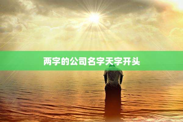 两字的公司名字天字开头