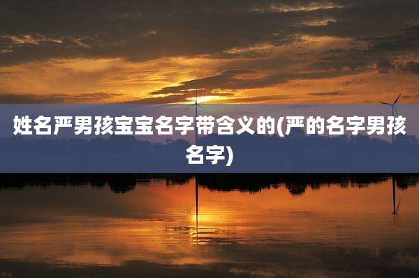 姓名严男孩宝宝名字带含义的(严的名字男孩名字)