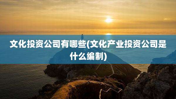 文化投资公司有哪些(文化产业投资公司是什么编制)