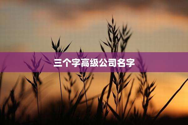 三个字高级公司名字