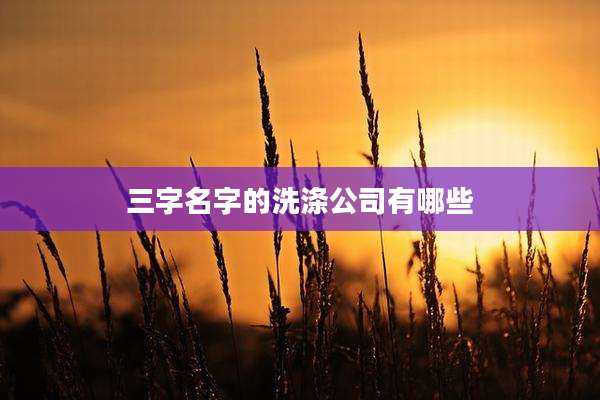 三字名字的洗涤公司有哪些
