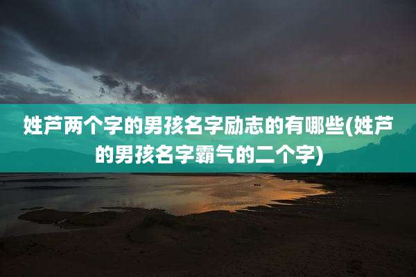 姓芦两个字的男孩名字励志的有哪些(姓芦的男孩名字霸气的二个字)