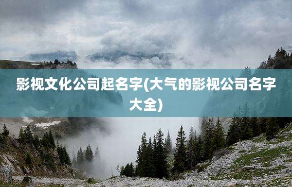 影视文化公司起名字(大气的影视公司名字大全)