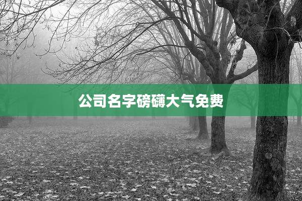 公司名字磅礴大气免费