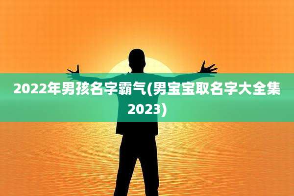 2022年男孩名字霸气(男宝宝取名字大全集2023)