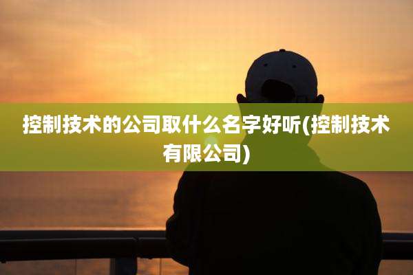 控制技术的公司取什么名字好听(控制技术有限公司)