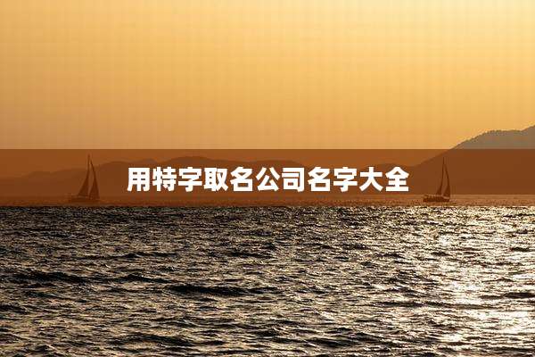 用特字取名公司名字大全