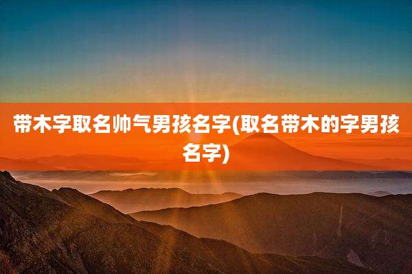 带木字取名帅气男孩名字(取名带木的字男孩名字)