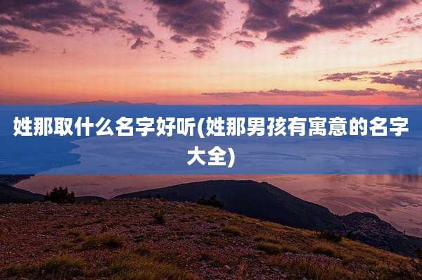姓那取什么名字好听(姓那男孩有寓意的名字大全)