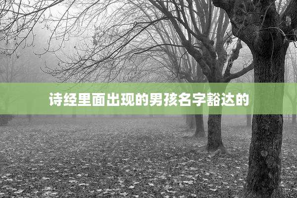 诗经里面出现的男孩名字豁达的