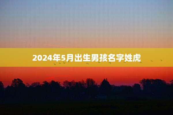 2024年5月出生男孩名字姓虎